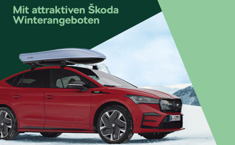  Skoda Winter Service Angebote